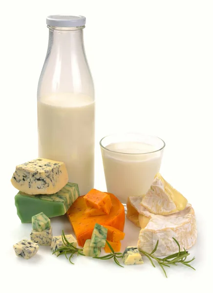 Milk and cheese — Stock Photo, Image