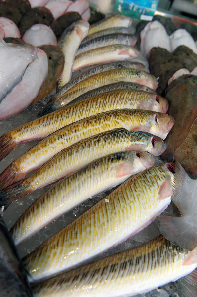 Vissen op een markt Toon-venster — Stockfoto