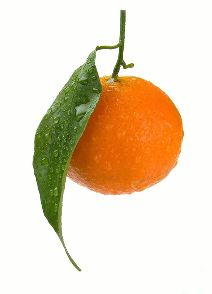 Clementine dengan penurunan — Stok Foto