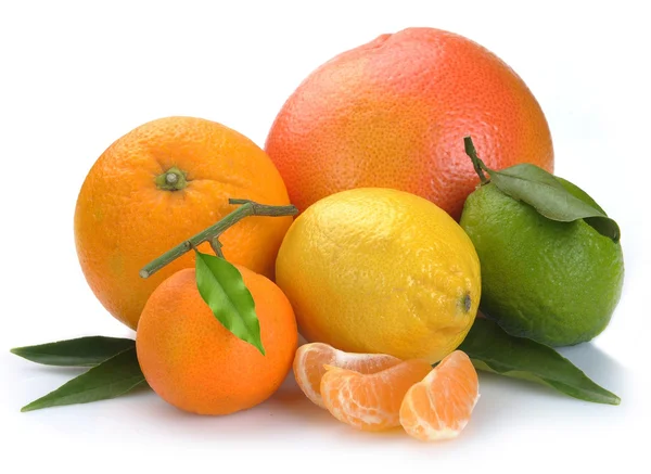 柑橘類のセット — ストック写真