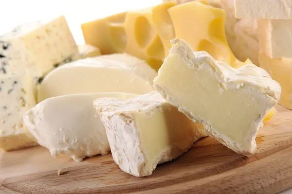 치즈 세트 — 스톡 사진