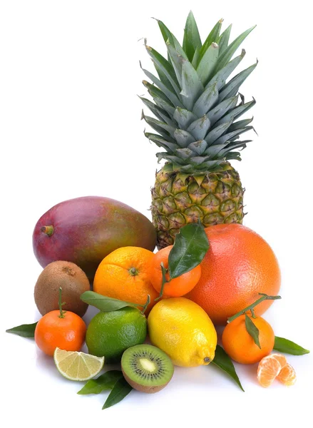 Zitrusfrüchte und tropische Früchte — Stockfoto