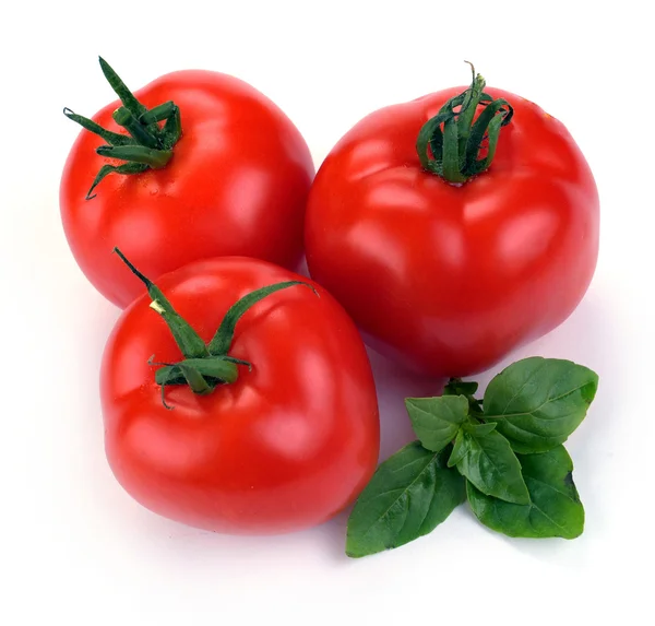 Röda tomater med basilika — Stockfoto