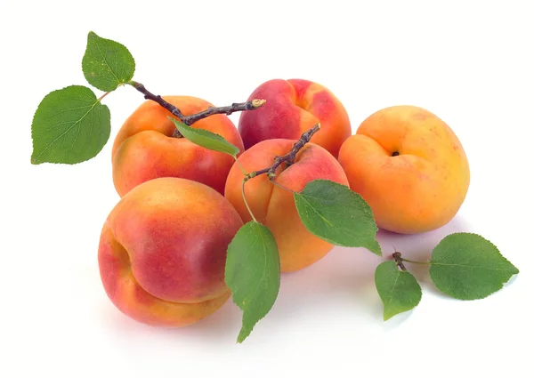Apricot with leaves — Stock Photo, Image