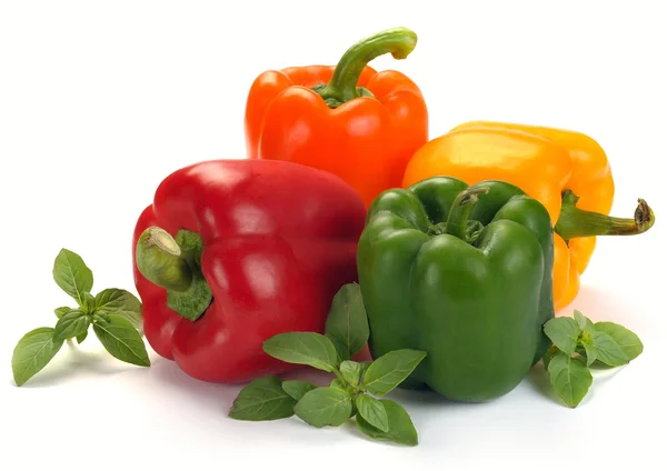 Multi-coloured paprika — Stock Photo, Image