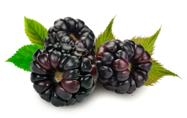 stock image Dewberries (blackberries) and green leaves