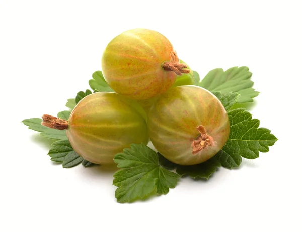 Green gooseberries — Stock Photo, Image