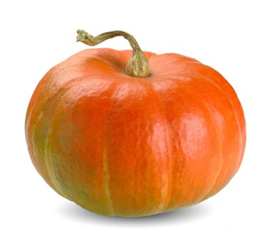 Orange pumpkin on white clipart