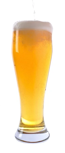 Пиво в скло — стокове фото