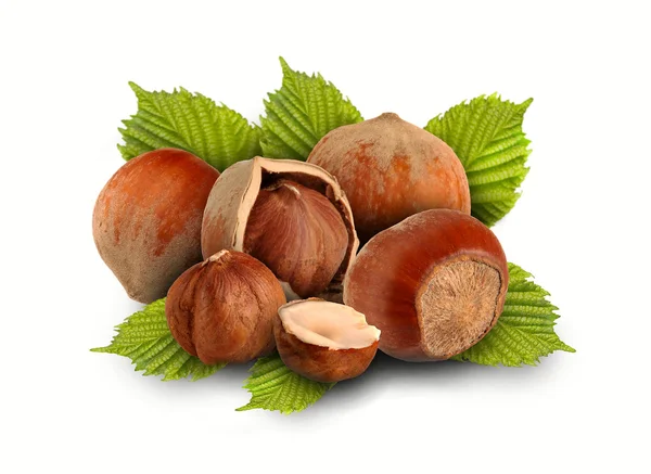 Celé lískové ořechy a oříšky s listy — Stock fotografie