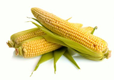 Fresh corn fruits clipart