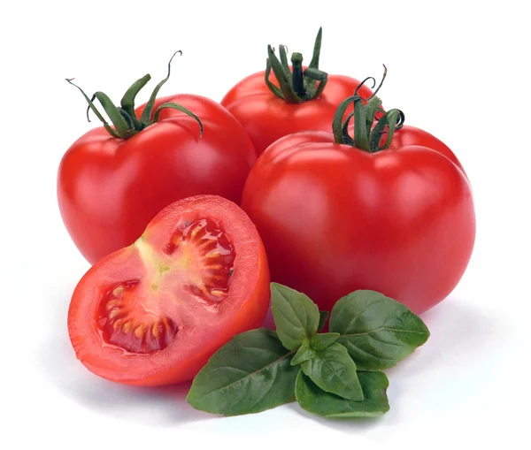 Röda tomater med basilika — Stockfoto