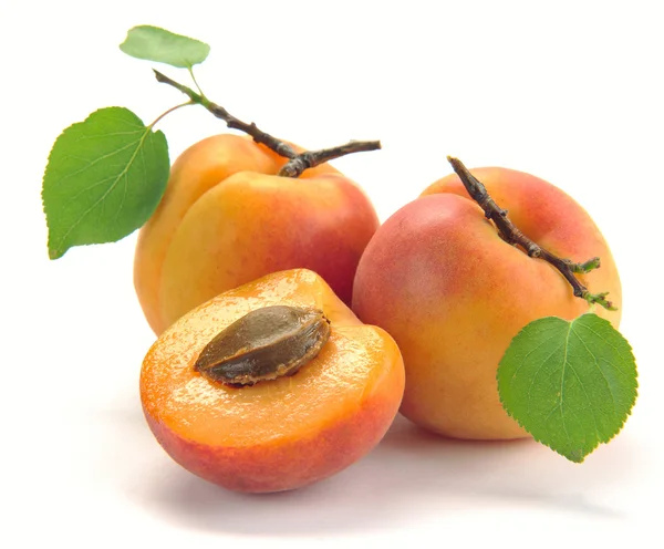 stock image Apricot with leaves