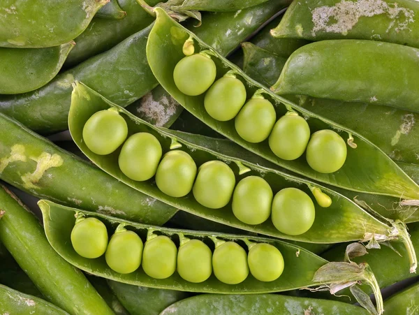 Green peas in pod — Stock Photo, Image