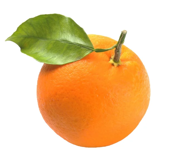 Narancs-levelek — Stock Fotó