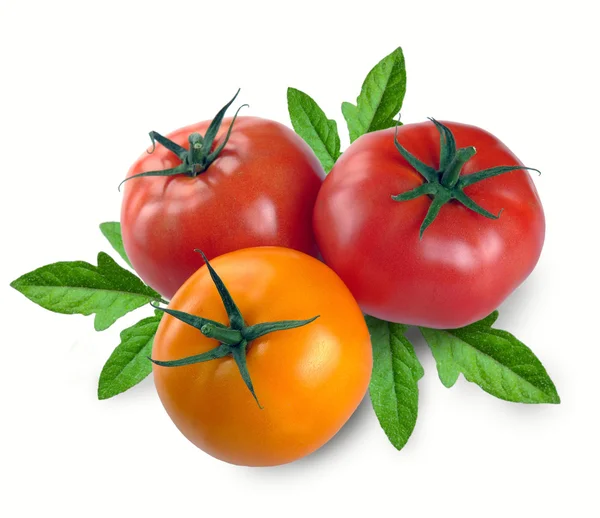 Три помидора с листьями — стоковое фото