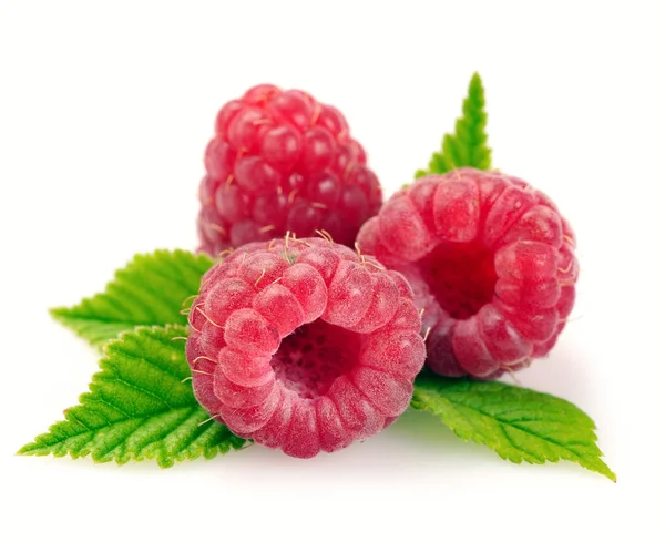 Raspberry with leaves — Stock Photo, Image