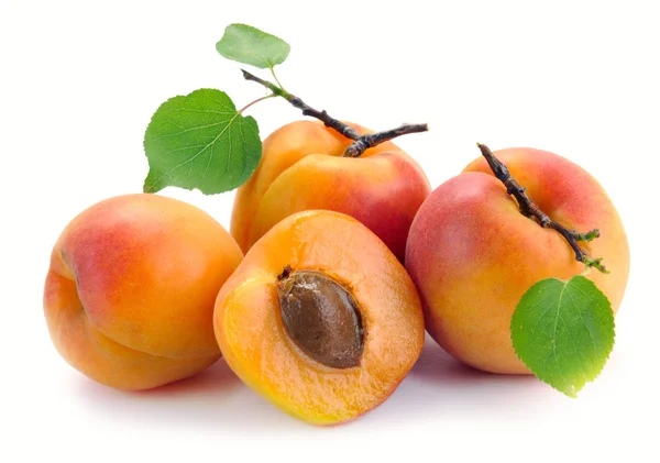 stock image Apricot with leaves