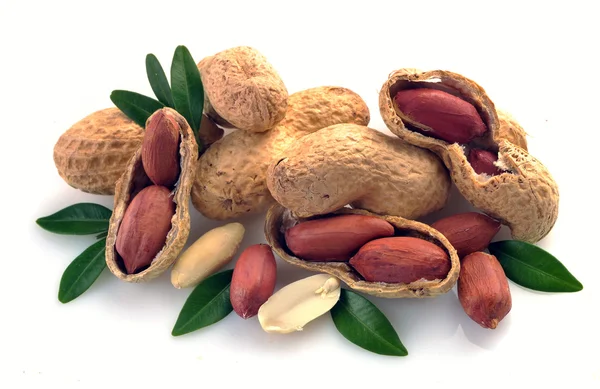 Peanut in a shell and cleared — Stock Photo, Image