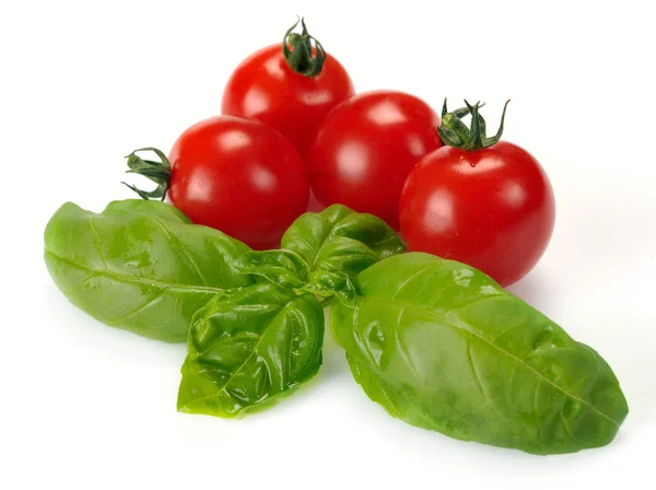 Leaves of basil and tomatoes — Stock Photo, Image