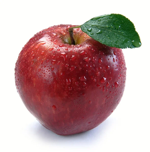 Червоне яблуко з краплями — стокове фото