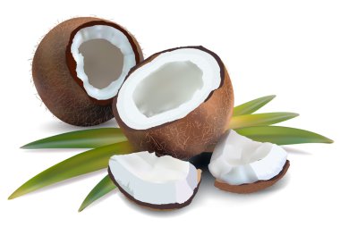 Coconut with leaves clipart