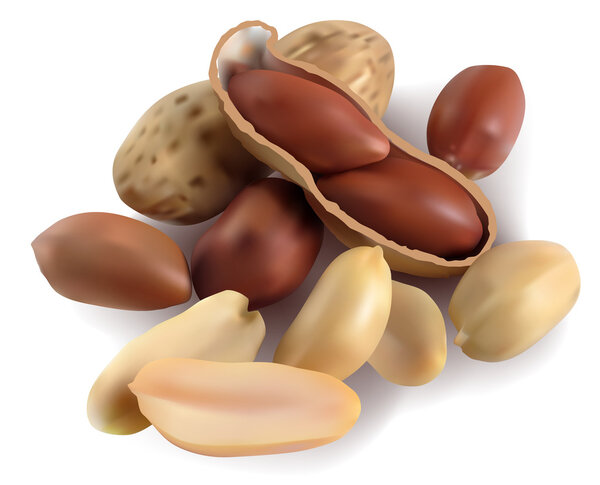 Peanut in a shell and cleared