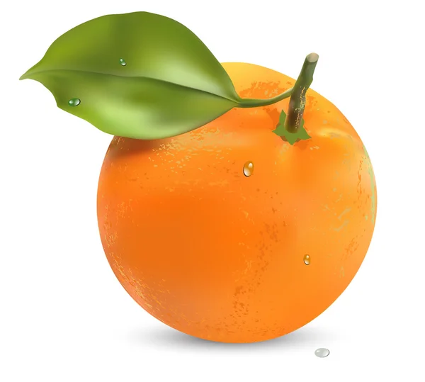 Arancione con foglie — Vettoriale Stock