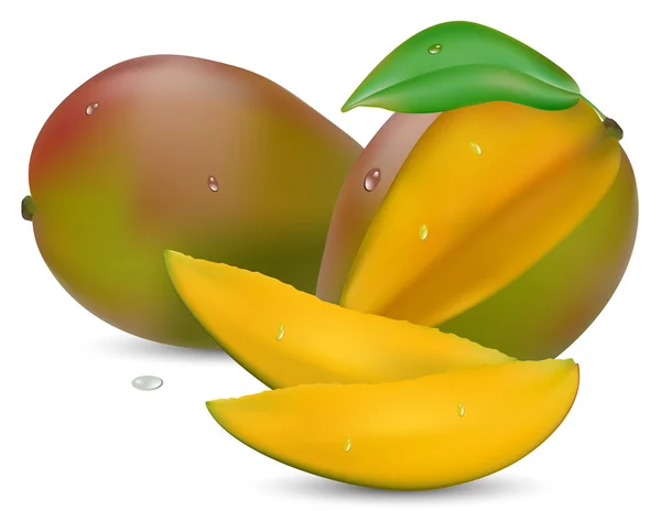 Mango mit Schnitt — Stockvektor