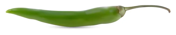 Green hot chili pepper — Stock Vector