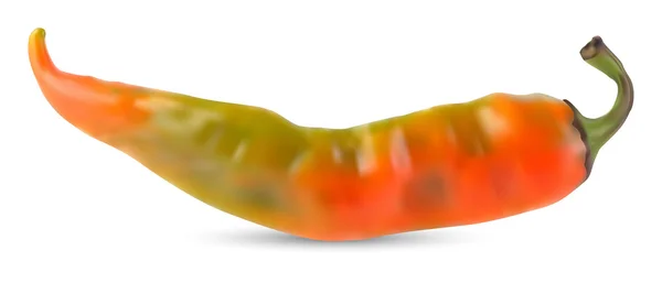 Oranžové hot chili pepper vektor — Stockový vektor