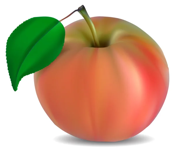Frischer rosa Apfel mit grünem Blatt — Stockvektor