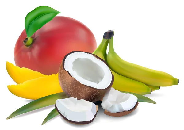 Frutas tropicais — Vetor de Stock