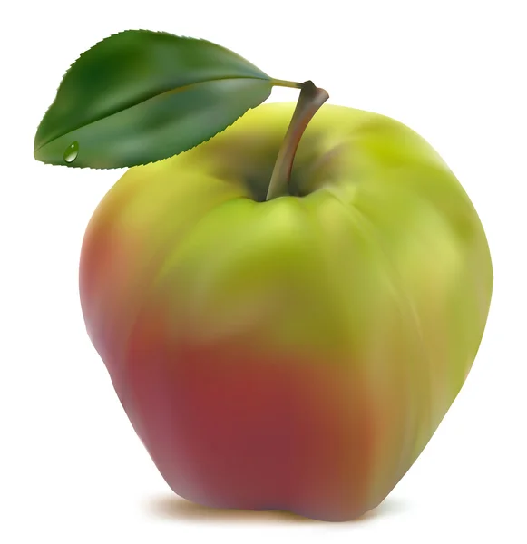 Свежее зелено-красное яблоко — стоковый вектор