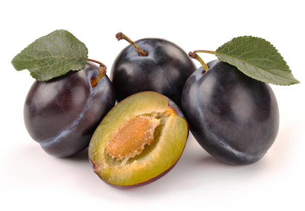 Plum and a half and leaves