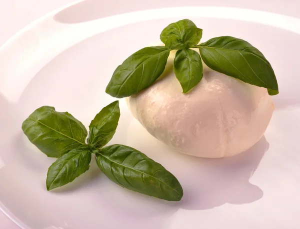 Mozzarella with basil — Stock Photo, Image