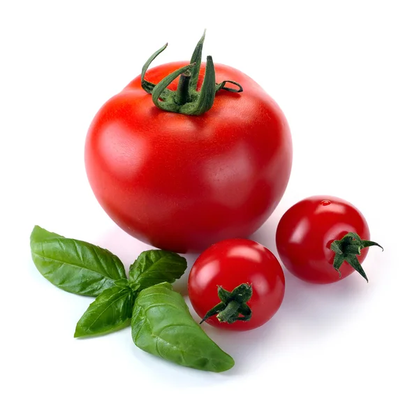 Feuilles de basilic et tomates — Photo