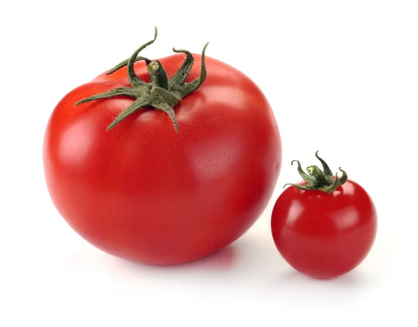 Stora och små tomater — Stockfoto