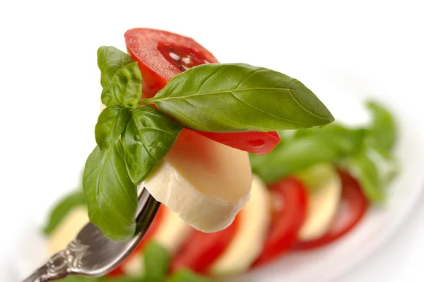 Mozzarella mit Tomate und Basilikum auf Gabel — Stockfoto
