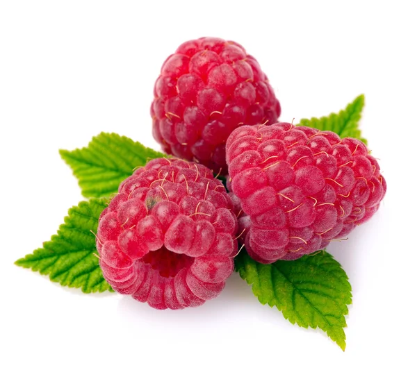 Raspberry with leaves — Stock Photo, Image
