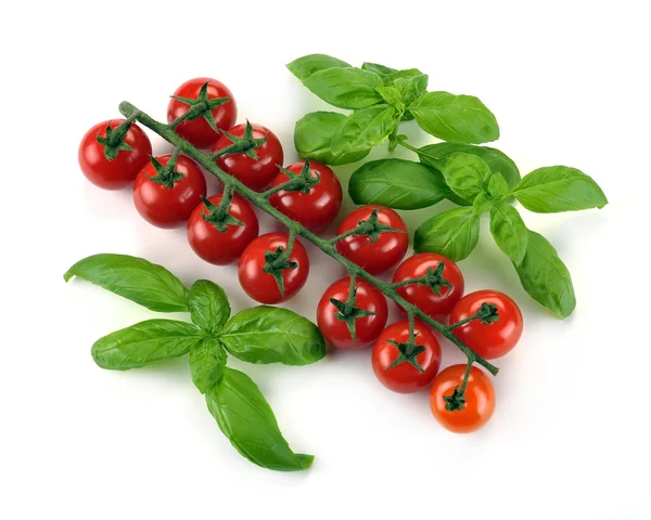 Leaves of basil and tomatoes cherry Royalty Free Stock Images