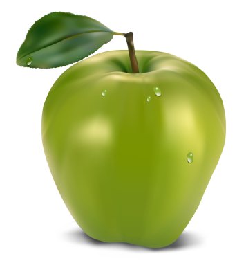 yaprak taze yeşil elma