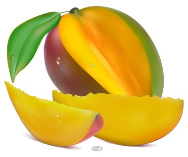 bölümü ile mango