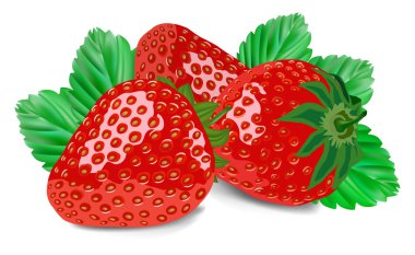 Strawberry isolated on white clipart