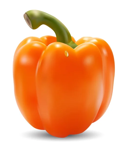 Paprika orange — Image vectorielle