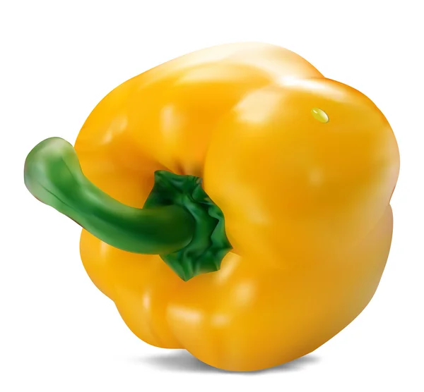 Gele paprika — Stockvector