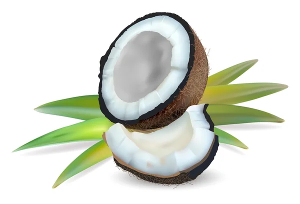 Kokos z liści — Wektor stockowy