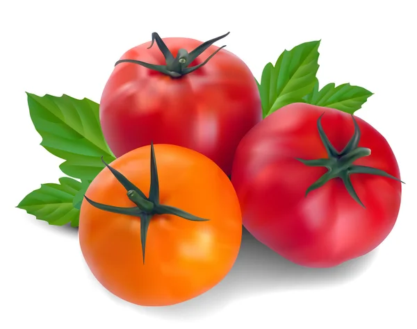 Tre tomater med blad — Stock vektor