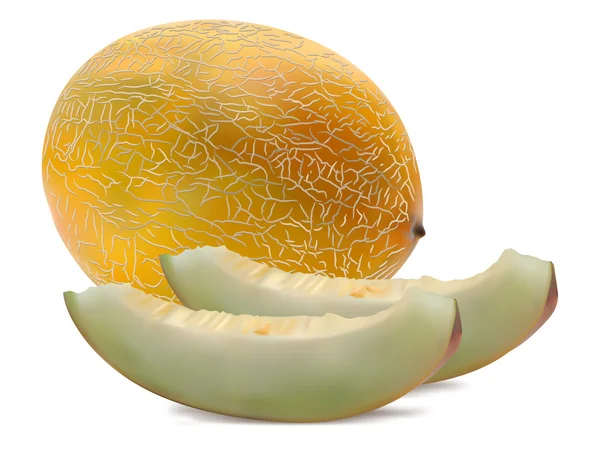 Melon avec des tranches — Image vectorielle