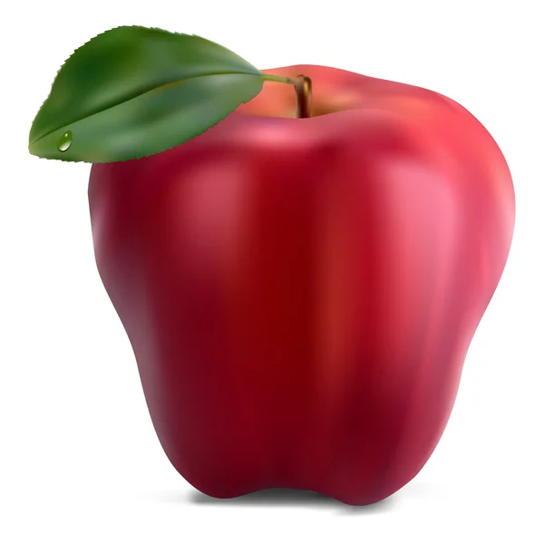 Verse rode appel met groen blad — Stockvector